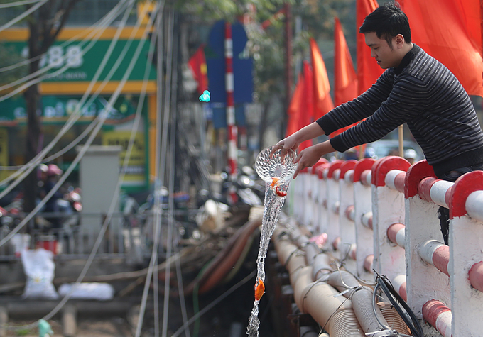 Cá chép chết nổi khi vừa được thả ở sông Tô Lịch